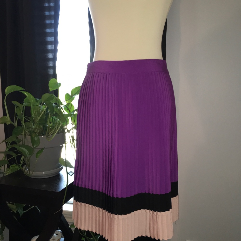 Pleated Skirt